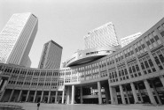 同時に複数の企業の新卒採用募集に応募しよう