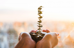 【プログラマー必見】プログラマーが年収1,000万越えを目指すために意識すべき5つのこと